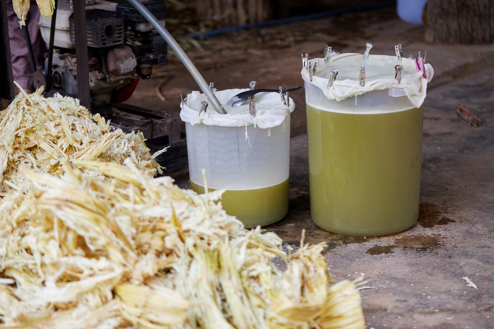 Heap of sorghum bagasse and sorghum juice