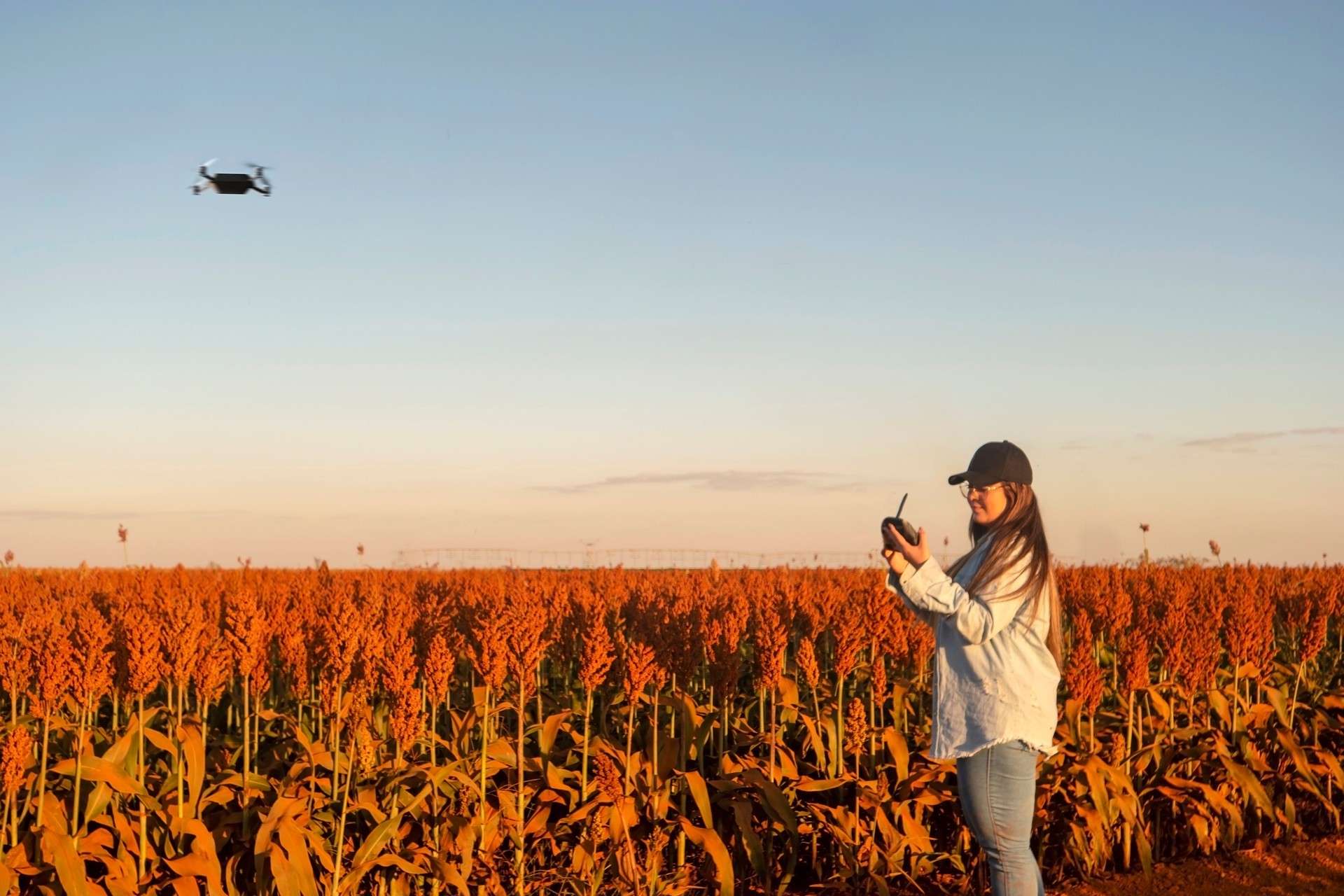 Woman in a sorghum plantation